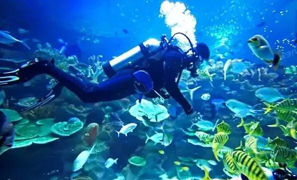 海东税收收入实现历史新突破