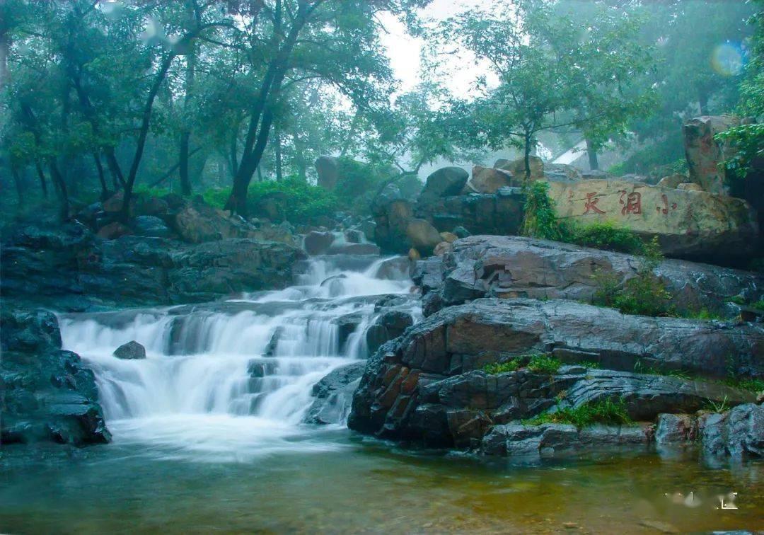 逃离未知丛林